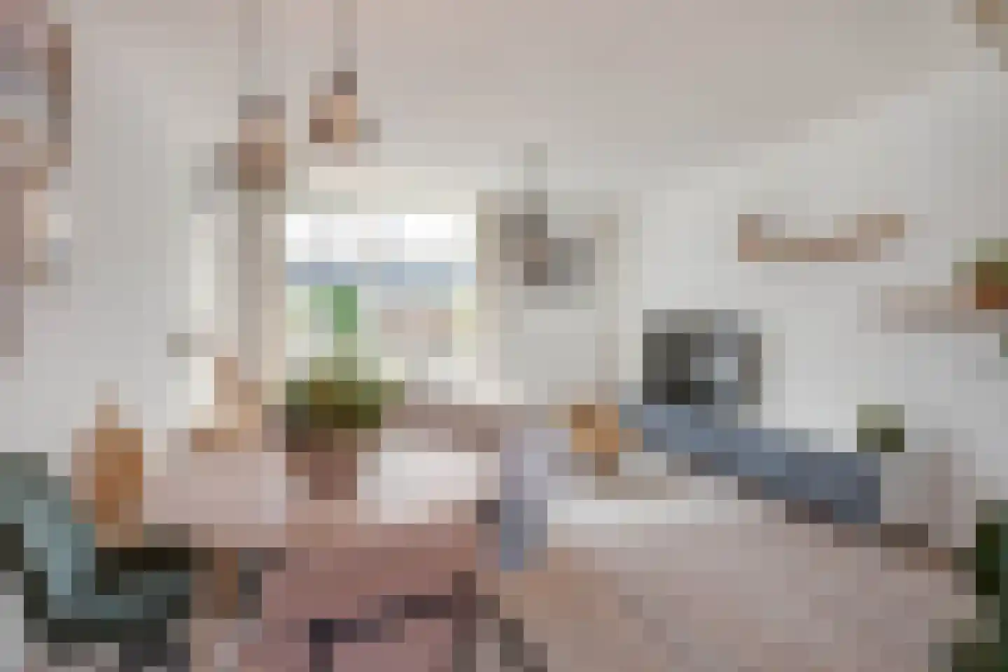 Schuttersdreef 100 Elsloo thumbnail 19