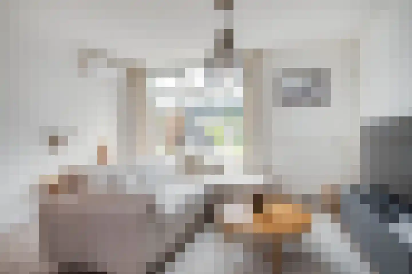 Schuttersdreef 100 Elsloo thumbnail 21