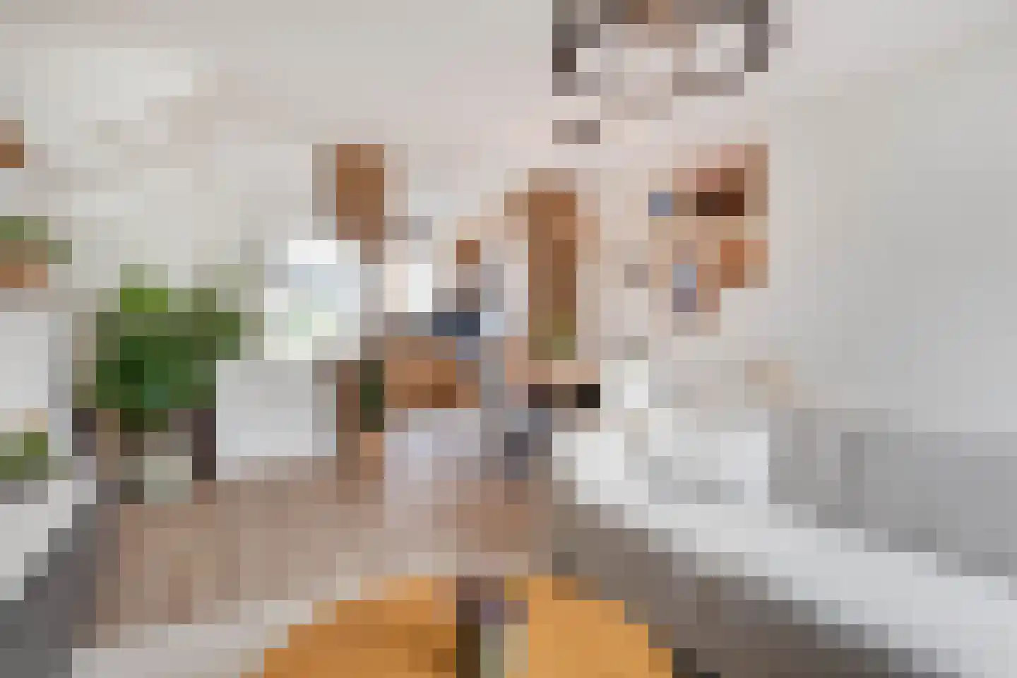 Schuttersdreef 100 Elsloo thumbnail 23
