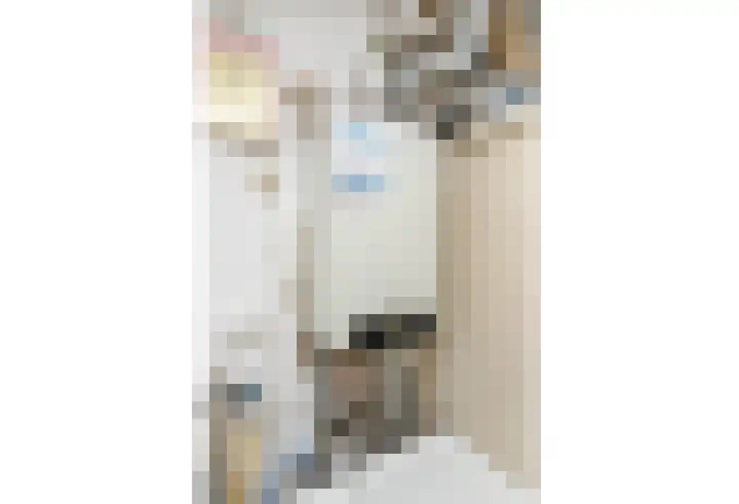 Schuttersdreef 100 Elsloo thumbnail 36