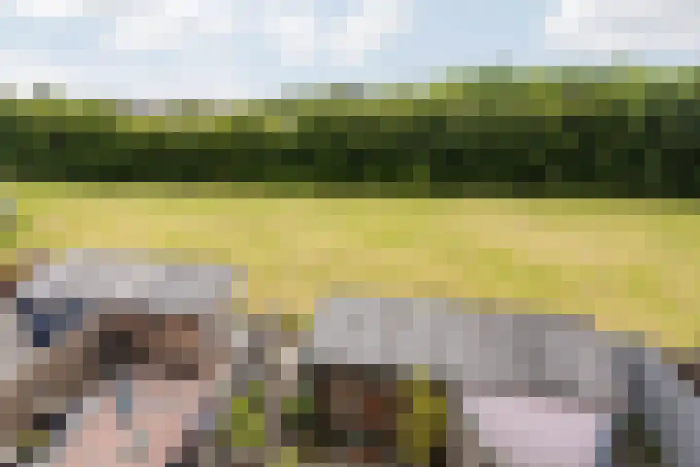 Schuttersdreef 100 Elsloo thumbnail 38