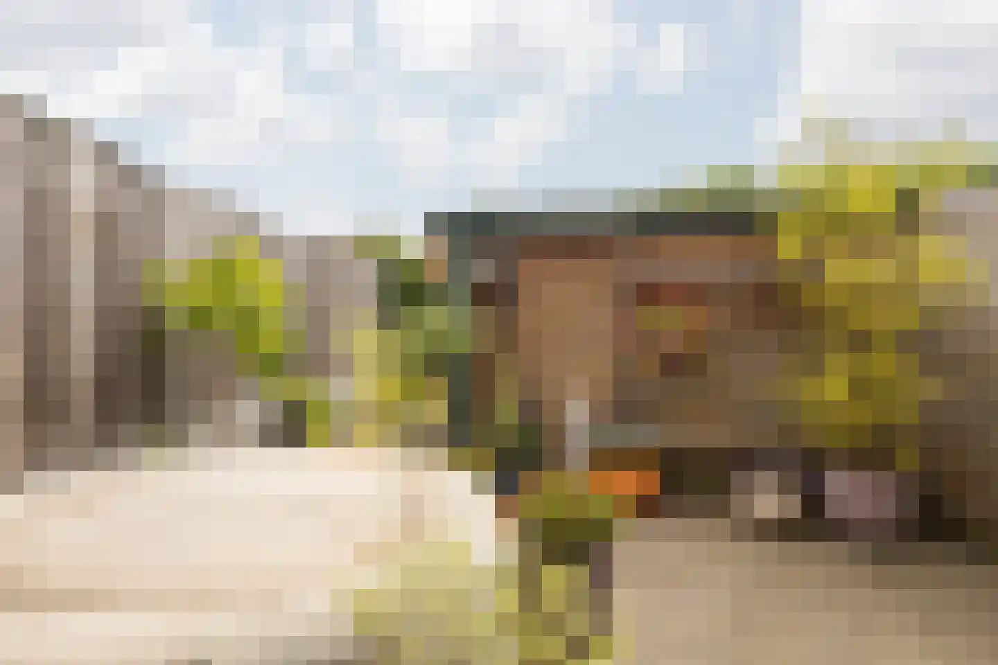 Schuttersdreef 100 Elsloo thumbnail 41