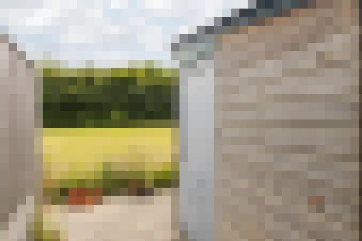 Schuttersdreef 100 Elsloo thumbnail 42