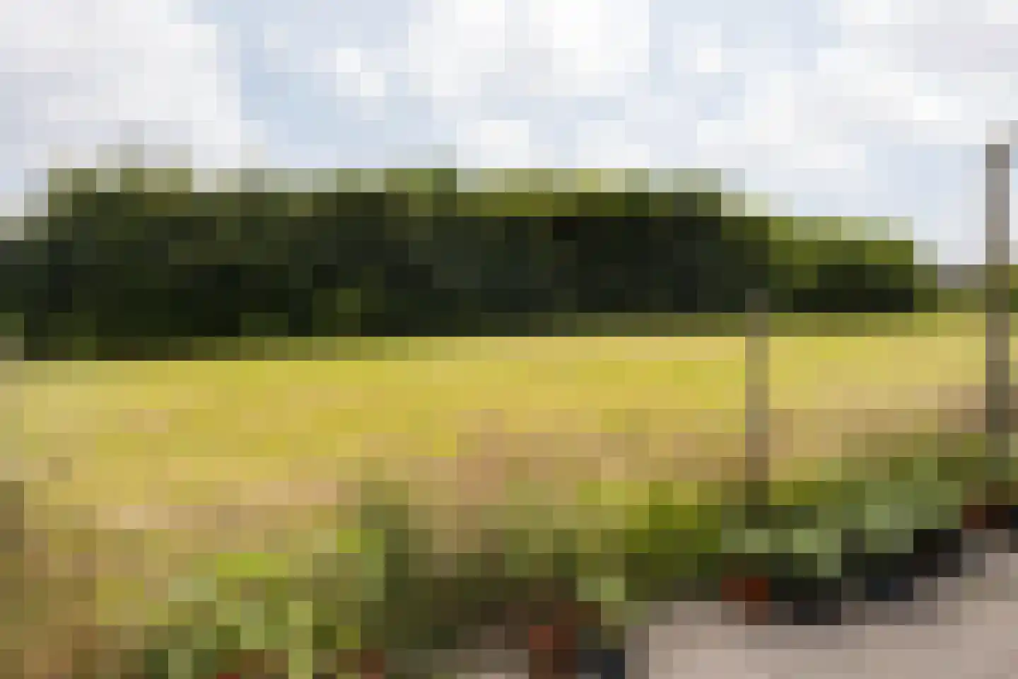 Schuttersdreef 100 Elsloo thumbnail 45