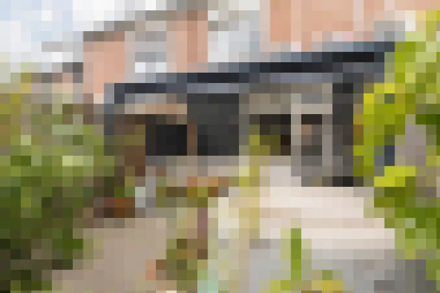 Schuttersdreef 100 Elsloo thumbnail 46