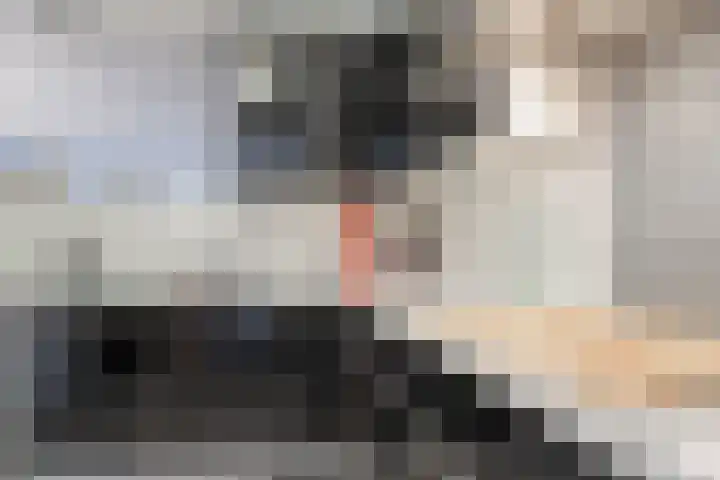 Schuttersdreef 31 Heythuysen thumbnail 5