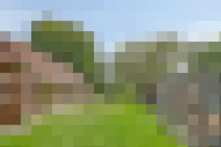 Schuttersdreef 55 Heythuysen thumbnail 19