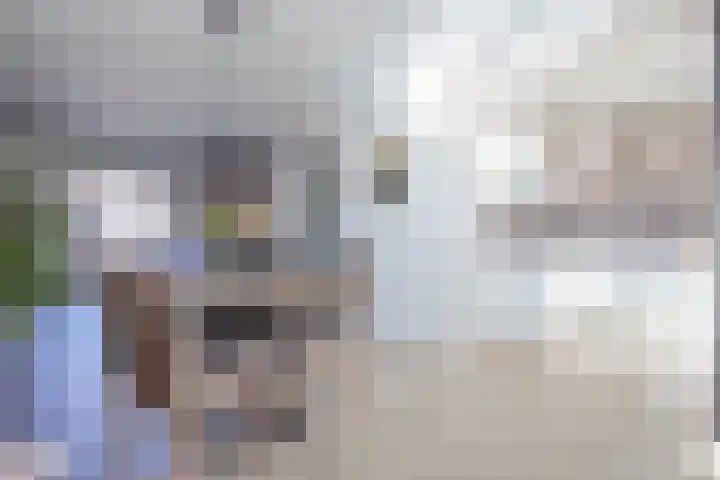 Schuttersdreef 55 Heythuysen foto 2