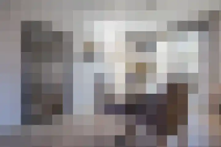 Schuttersdreef 55 Heythuysen thumbnail 4