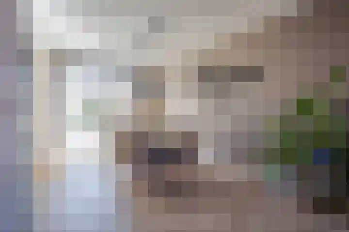 Schuttersdreef 55 Heythuysen thumbnail 6