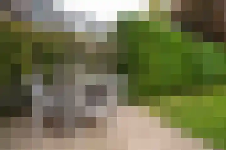 Schuttersdreef 57 Heythuysen thumbnail 34