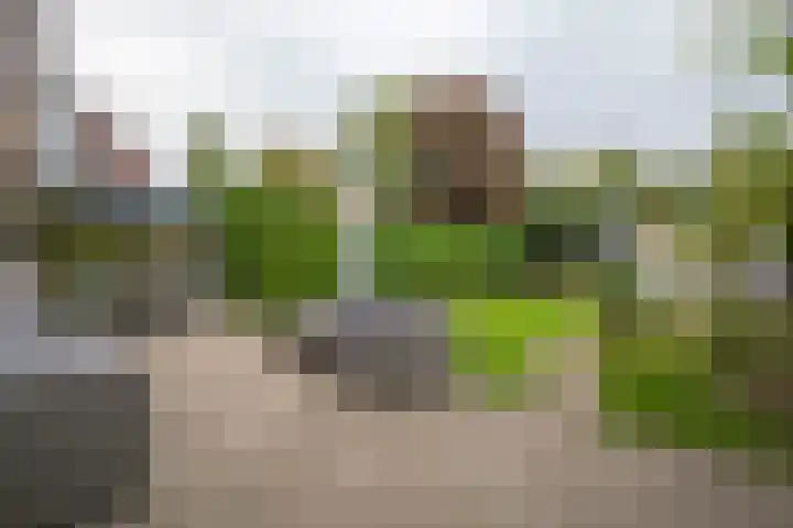 Schuttersdreef 57 Heythuysen thumbnail 4
