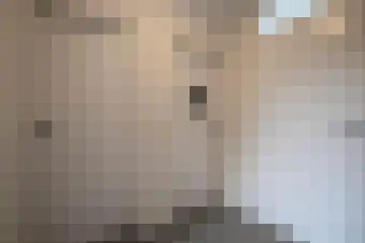 Schuttersdreef 57 Heythuysen thumbnail 41