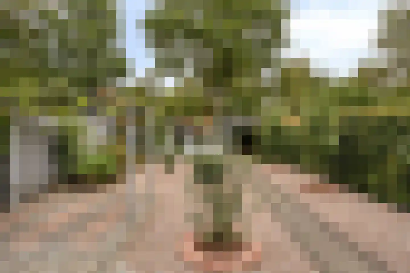 Schuttersdreef 64 Heythuysen thumbnail 35