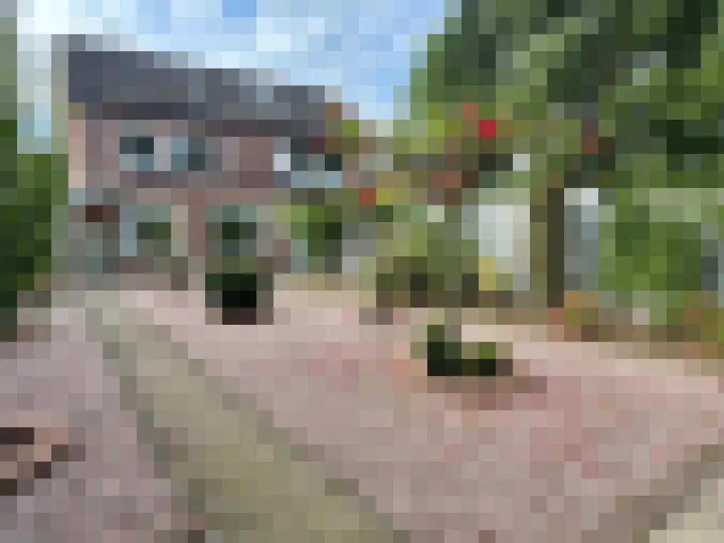 Schuttersdreef 64 Heythuysen thumbnail 46