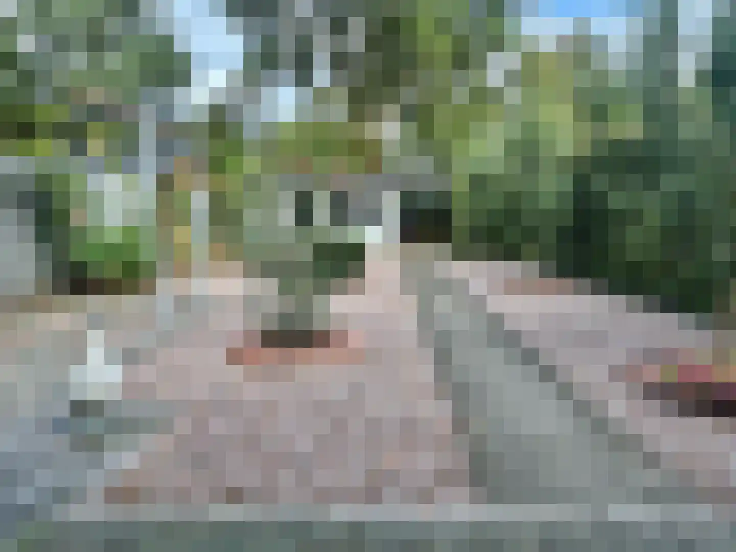 Schuttersdreef 64 Heythuysen thumbnail 48