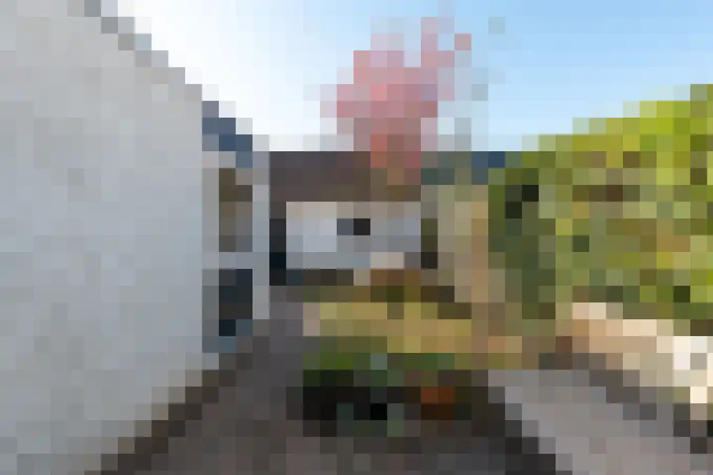 Schuttersgilde 21 Houten thumbnail 30