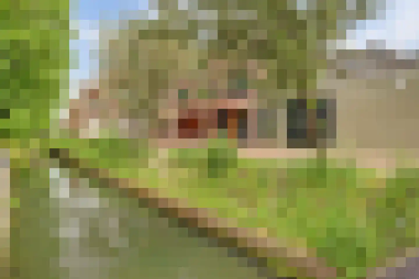 Schuttersgracht 11 Gorinchem thumbnail 42