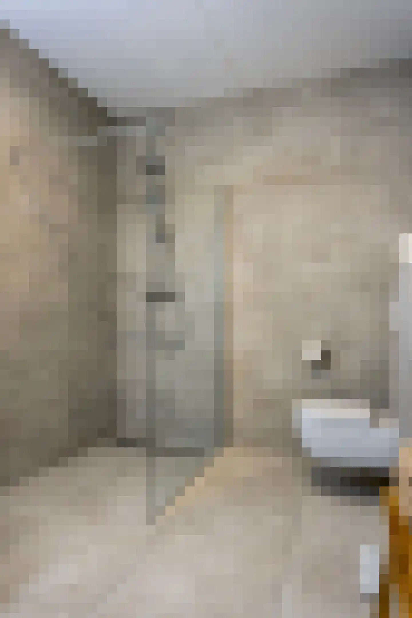 Schuttershof 10 06 Goes thumbnail 20