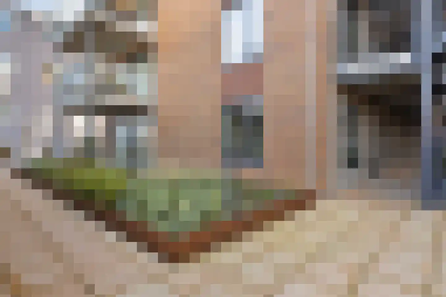 Schuttershof 10 06 Goes thumbnail 28