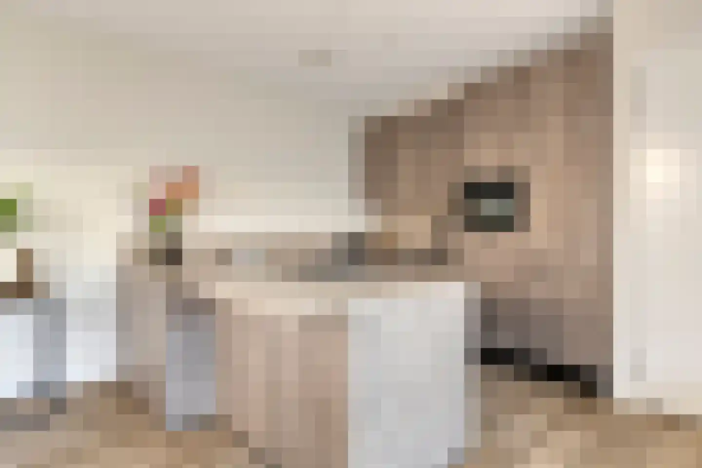 Schuttershof 10 06 Goes thumbnail 7