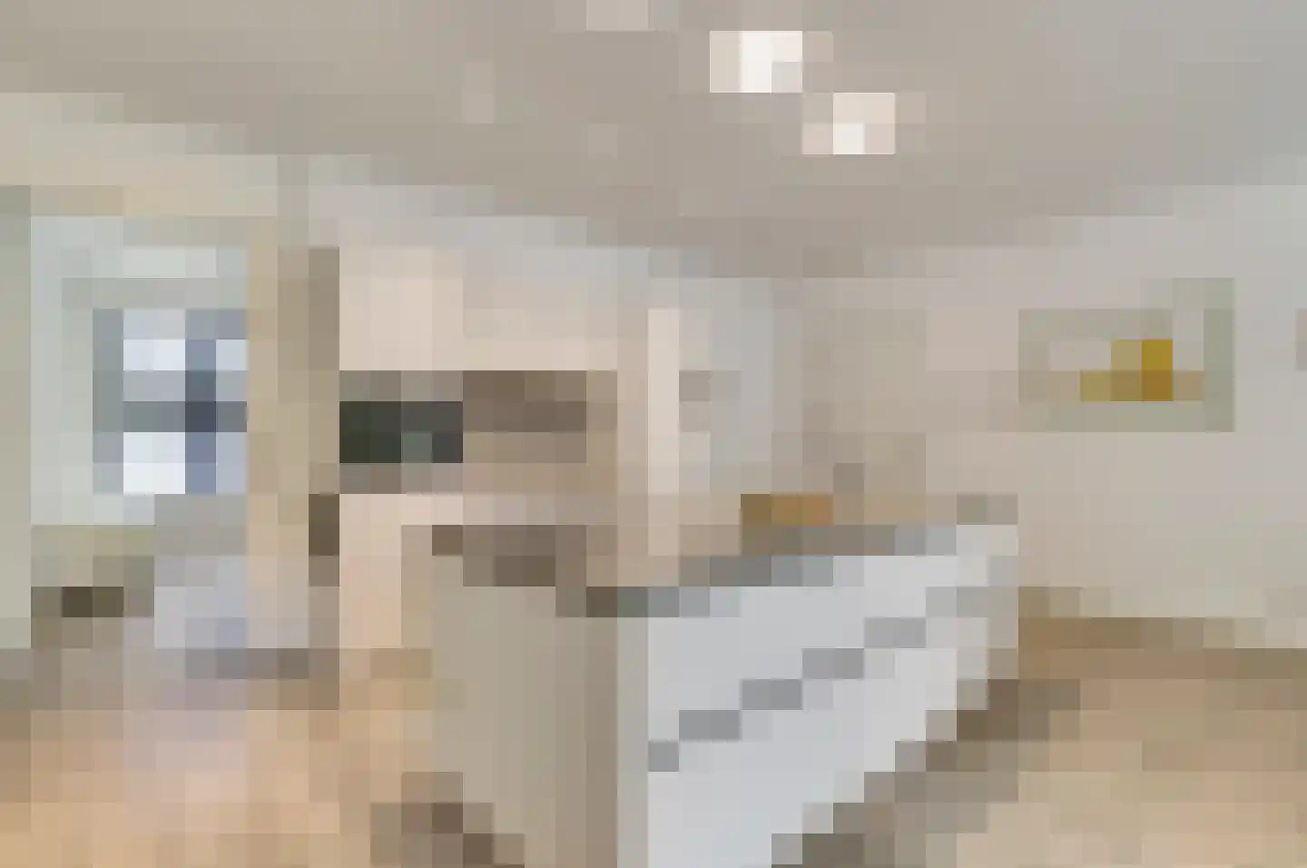 Schuttershof 10 09 Goes thumbnail 18