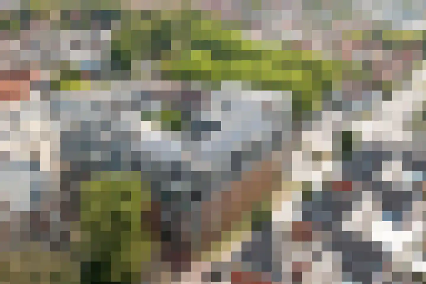Schuttershof 10 09 Goes thumbnail 6