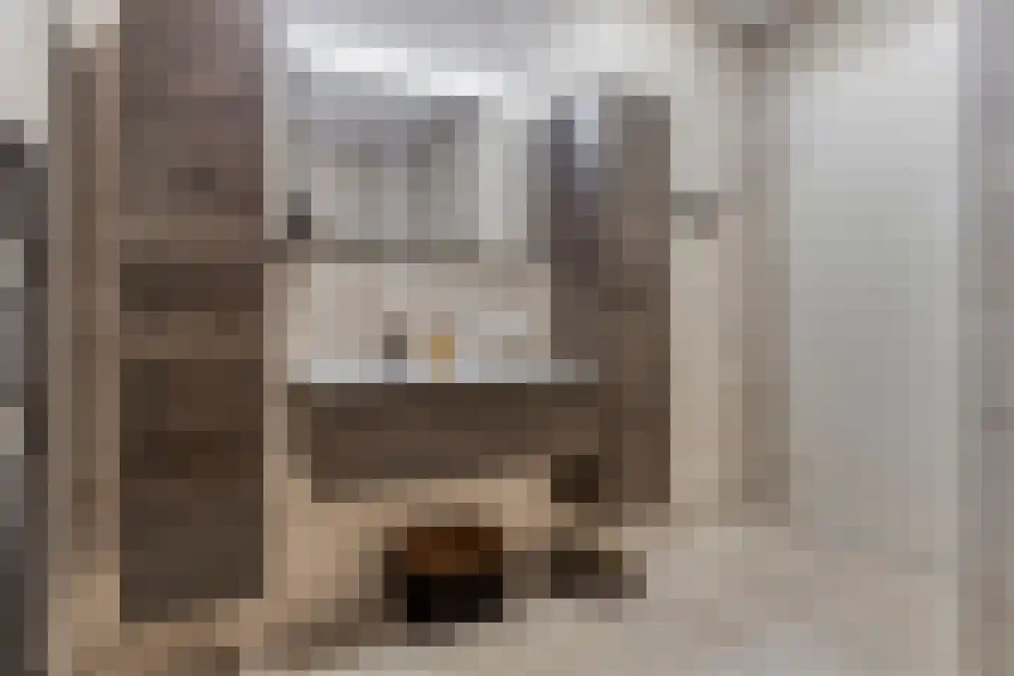 Schuttershof 10 19 Goes thumbnail 25