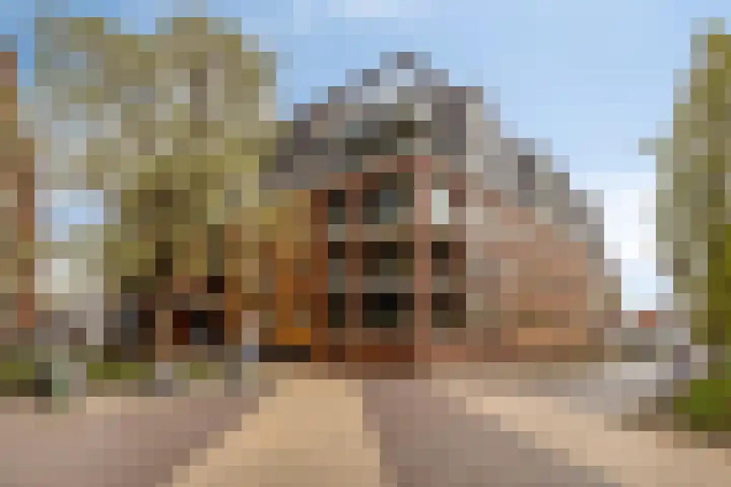 Schuttershof 10 19 Goes thumbnail 33