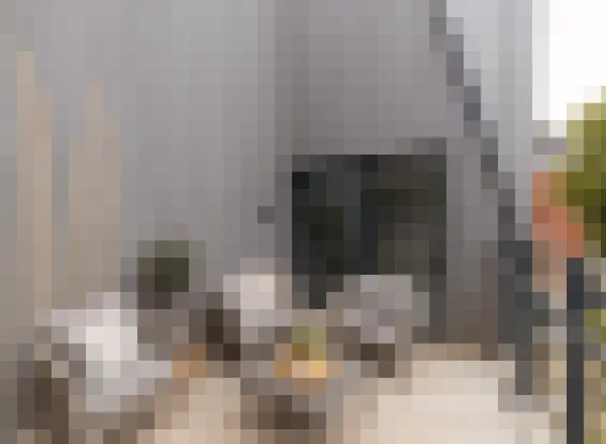 Schuttershof 10 22 Goes thumbnail 16