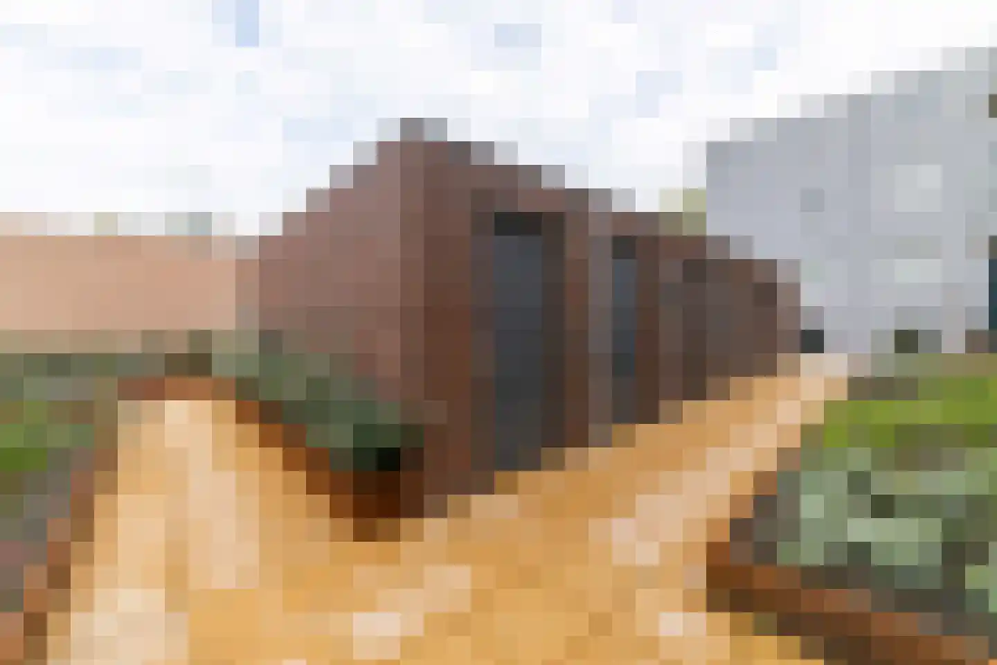 Schuttershof 10 22 Goes thumbnail 21