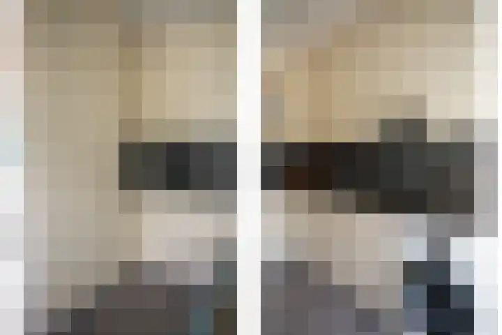 Schuttershof 11 Sluis thumbnail 13