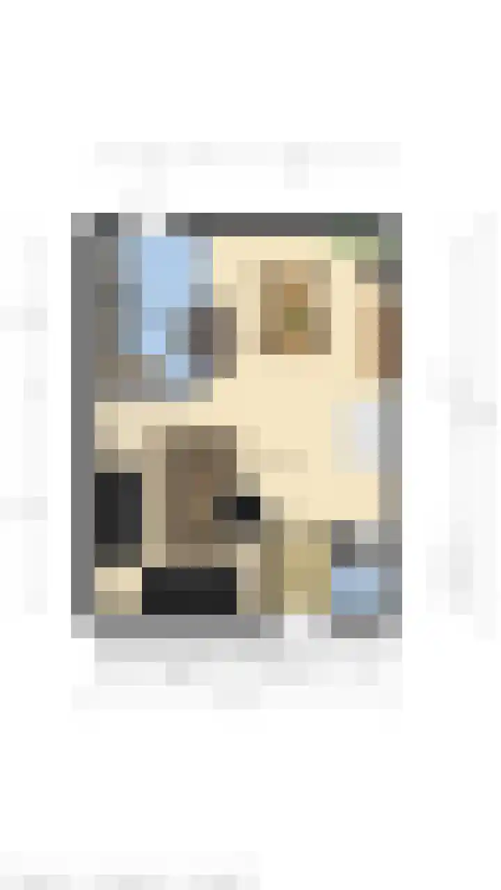 Schuttershof 11 Sluis thumbnail 15