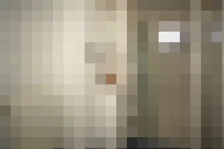 Schuttershof 11 Sluis thumbnail 17