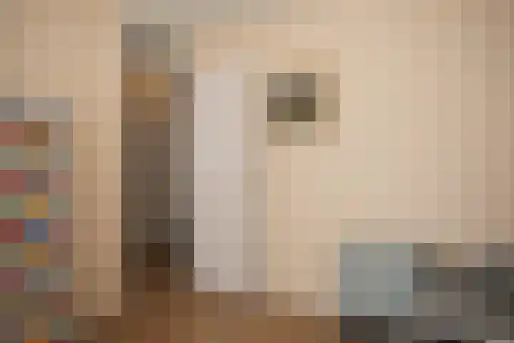 Schuttershof 11 Sluis thumbnail 21