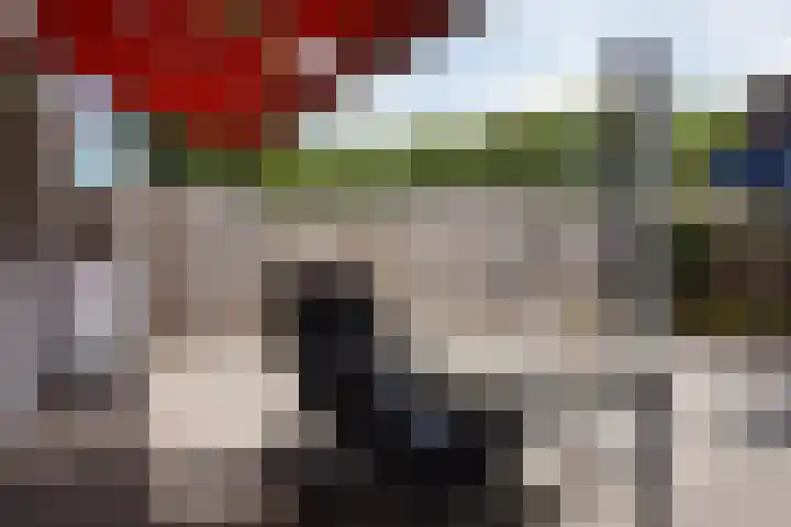 Schuttershof 11 Sluis thumbnail 29