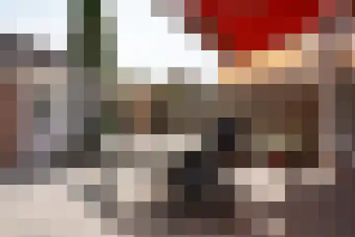 Schuttershof 11 Sluis thumbnail 30