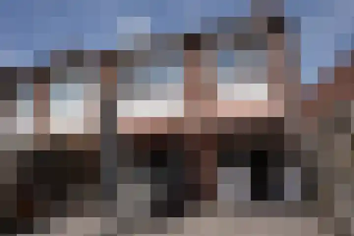 Schuttershof 11 Sluis thumbnail 32