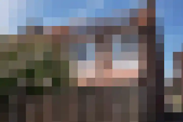 Schuttershof 11 Sluis thumbnail 33
