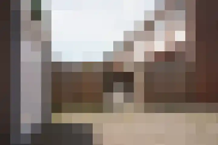 Schuttershof 11 Sluis thumbnail 34
