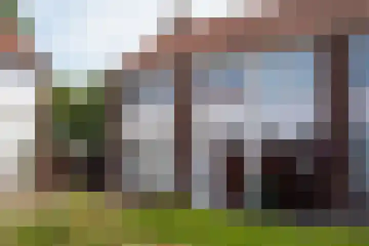 Schuttershof 11 Sluis thumbnail 36