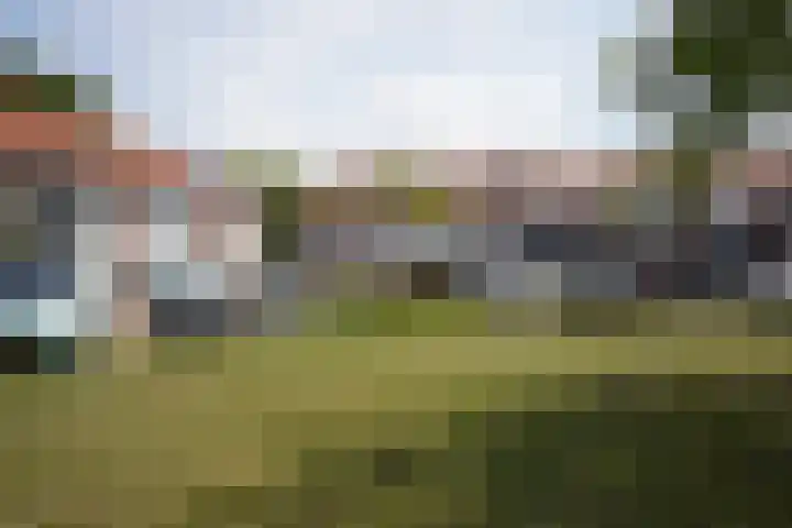 Schuttershof 11 Sluis thumbnail 37