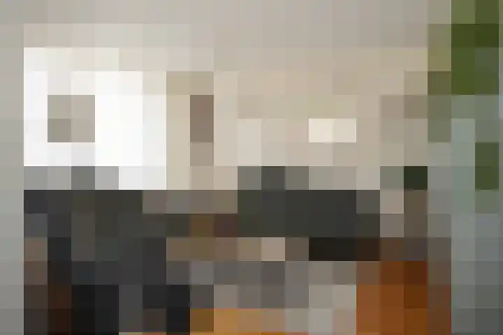 Schuttershof 11 Sluis thumbnail 4