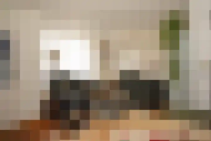 Schuttershof 11 Sluis thumbnail 5
