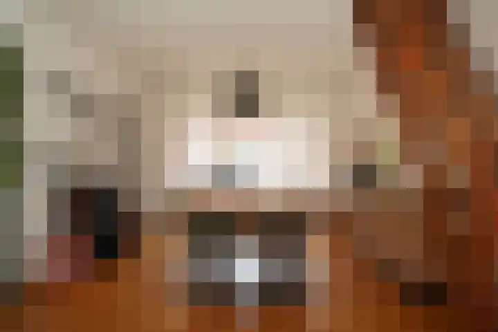 Schuttershof 11 Sluis thumbnail 7
