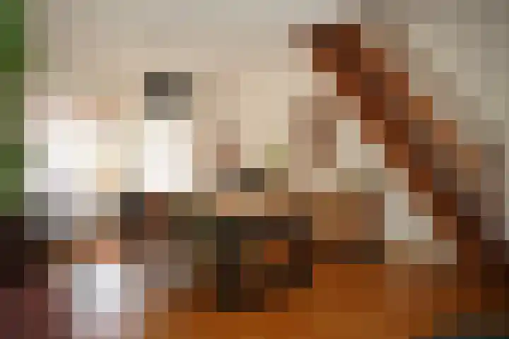 Schuttershof 11 Sluis thumbnail 8