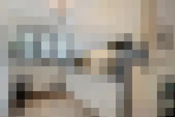 Schuttershof 12 Goes thumbnail 14
