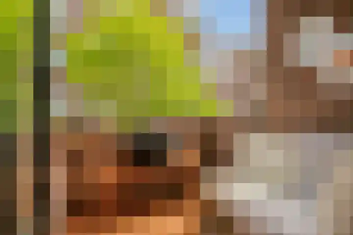 Schuttershof 12 Goes thumbnail 19
