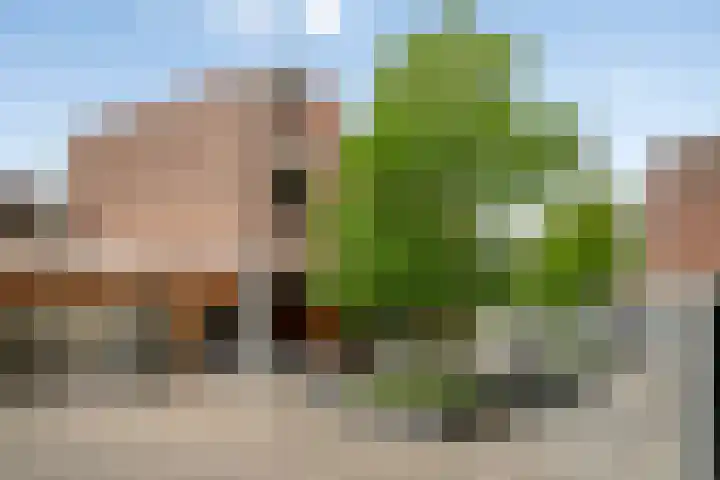 Schuttershof 12 Goes thumbnail 39