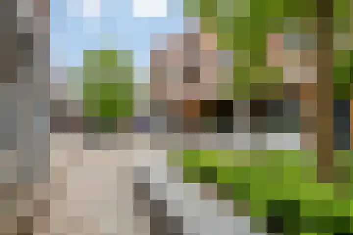 Schuttershof 12 Goes thumbnail 40